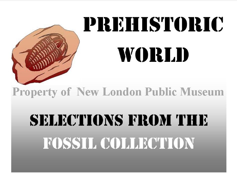 Prehistoric World: Fossils