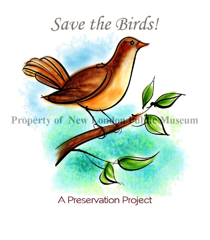 Save the Birds